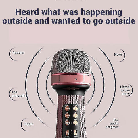 Wireless babies Microphone - Handheld Mic with Built-in Speaker