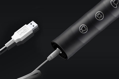 Electric Toothbrush for Adults Powerful Sonic Toothbrush 6 Modes with 4 Replacement Brush Heads - Black