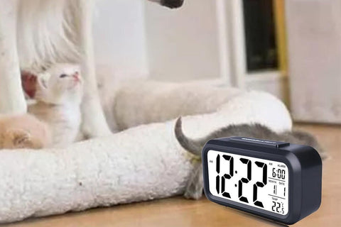 Desk Small Clock Night Light Digital Alarm Clock Battery Operated with Indoor Temperature -Black
