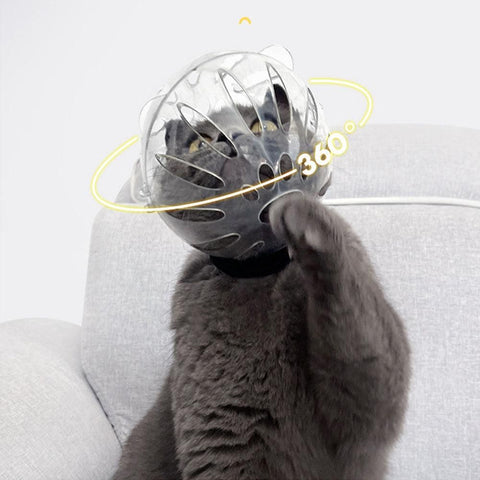 Transparent Cat Hood Astronaut Helmet Muzzle Mask Preventing Biting and Licking - Small