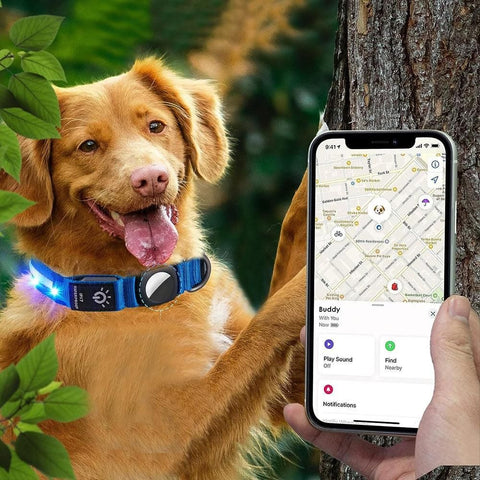 Luminous LED Pet Dog Collar Light-up USB Rechargeable Dog Collar Blue - L