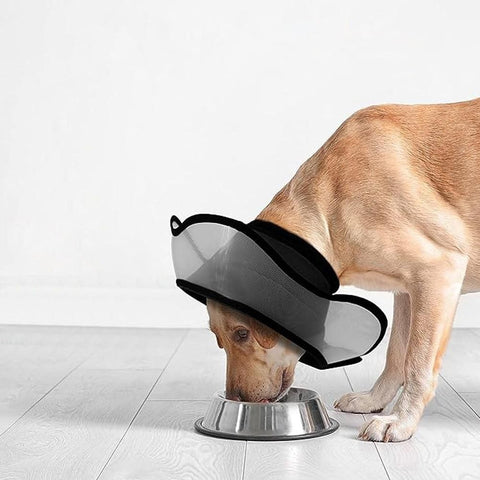 Pet Dog Cone Collar Soft Neck Collar Adjustable Pet Elizabethan Collar Black - M