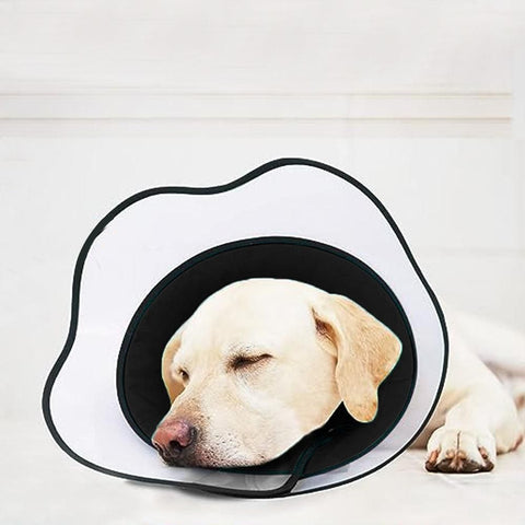Pet Dog Cone Collar Soft Neck Collar Adjustable Pet Elizabethan Collar Black - L