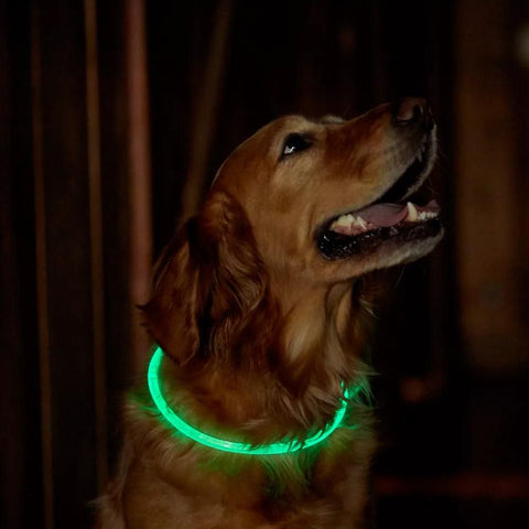 Light-Up Pet Dog Collars USB Rechargeable Pet Collar Adjustable Size Pet Collar Green - L