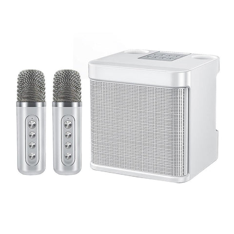 Portable Karaoke Machine with 2 Wireless Microphones Portable Bluetooth Speaker for Family Party Singing Black