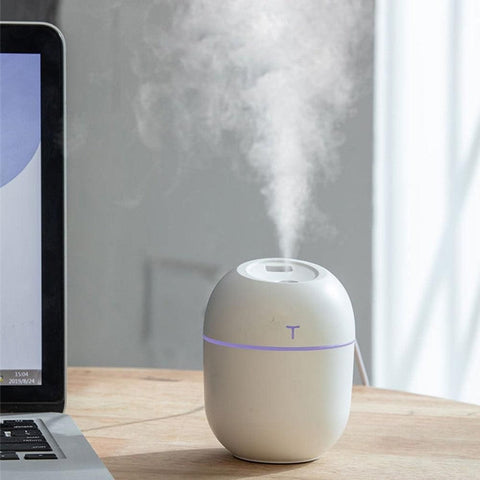 USB Aroma Humidifier Mist Air Purifier Home-Pink