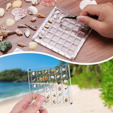 Acrylic Magnetic Seashell Display Box,Clear Sea Shell Display Box,Beach Magnet Storage Organizer Case for Seashell Diamond Beads,100 Grids,Transparent,1 Pack