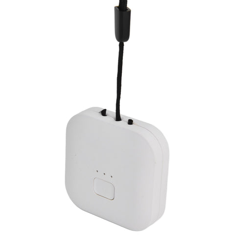 Air Humidifier 1000W Negative Ion Portable Wearable Double Head Carbon Brush Air Freshener with USB CableWhite