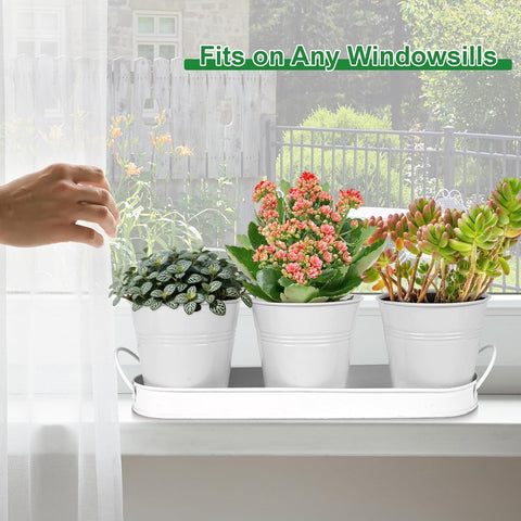 Herb Garden Planter Indoor Kit – 6 Metal Pots with 2 Trays for Windowsill & Kitchen Counter – Modern Decorative Indoor Planters for Herbs, Succulents & Small Plants, White