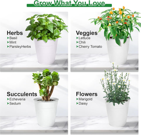 Herb Garden Planter Indoor Kit – 6 Metal Pots with 2 Trays for Windowsill & Kitchen Counter – Modern Decorative Indoor Planters for Herbs, Succulents & Small Plants, White