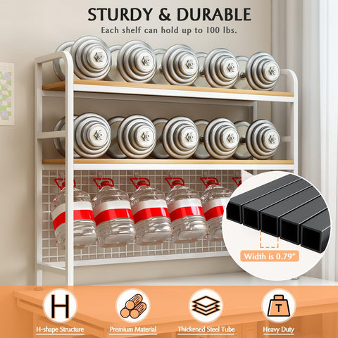 CARLA HOME  2-Tier Metal Desktop Hutch Bookshelf with Grid Panel for Computer Desk and Office Countertop