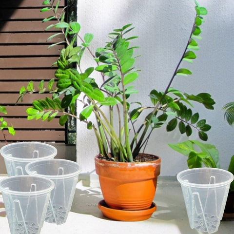 10xClear Plastic Orchid Pots with Holes for Phalaenopsis Root Aeration