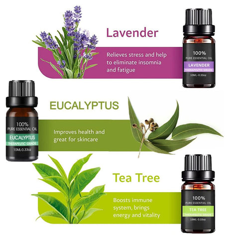 Essential Oil Set 6 Bottles Plant Aromatherapy Oils Natural Scent for Diffuser