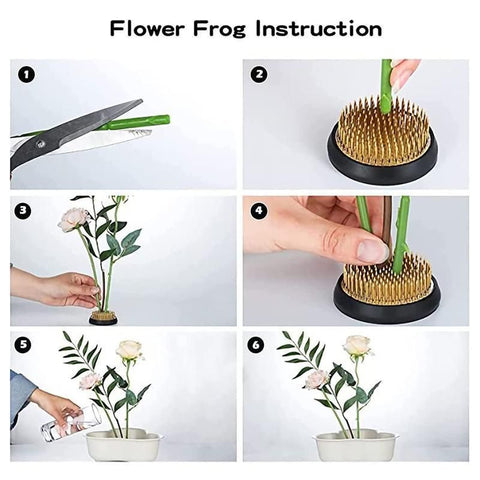 Round Flower Base Holder Spiky Frog Fixed Tool Floral Arrange For Ikebana Kenzan