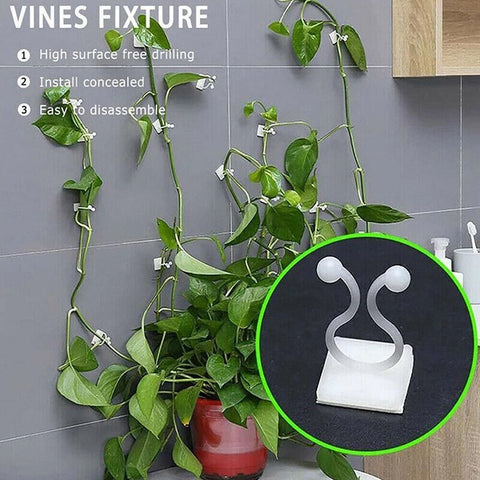 100Pcs Invisible Wall Clips for Plant Climbing & Vine Support