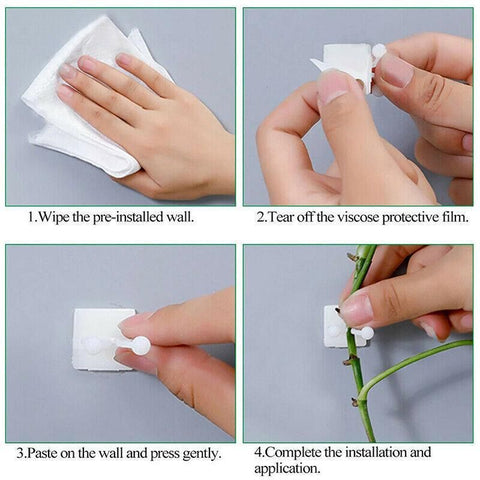 100Pcs Invisible Wall Clips for Plant Climbing & Vine Support