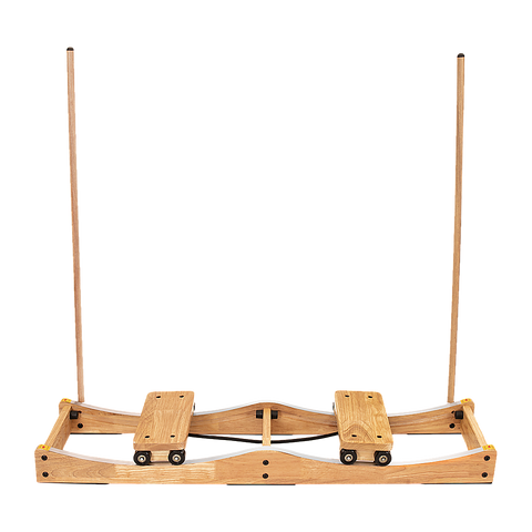 Ski Machine W/ Handrails