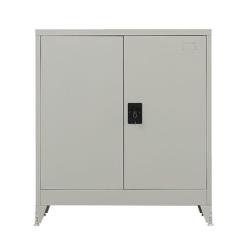 Two-Door Metal Short Cabinet Shelf Storage for Home Office Gym