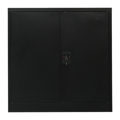 Two-Door Metal Short Cabinet Shelf Storage for Home Office Gym