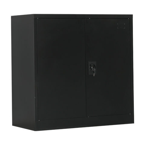 Two-Door Metal Short Cabinet Shelf Storage for Home Office Gym