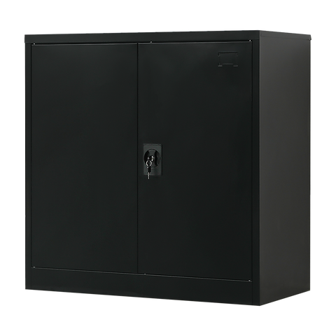 Two-Door Metal Short Cabinet Shelf Storage for Home Office Gym