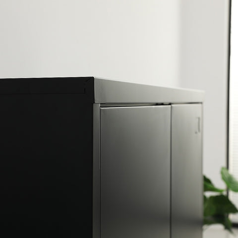 Two-Door Metal Short Cabinet Shelf Storage for Home Office Gym