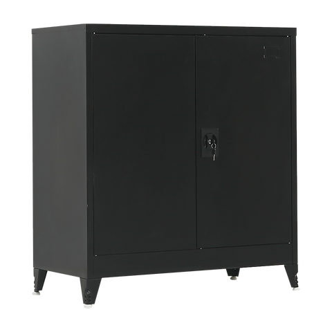 Two-Door Metal Short Cabinet Shelf Storage for Home Office Gym