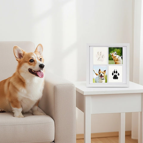 Pet Paw Print Kit DIY Photo Frame for Dogs & Cats Keepsake