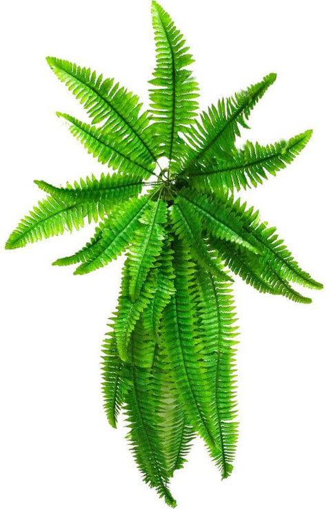 Artificial Boston Hanging Fern 102cm