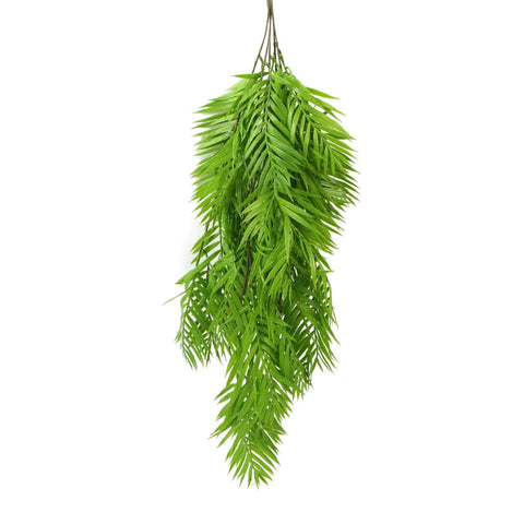 Hanging Basket, Ferns, and Small Potted Plant Bundle