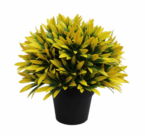 UV Treated 20cm Small Potted Plants Bundle