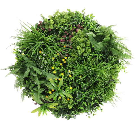Slimline Artificial Green Wall Disc Art 80cm Country Fern UV Resistant (Black)