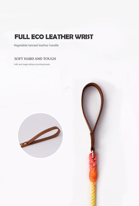 Premium Leather Pet Collar and Leash - Soft, Strong Braided Rope (Sky blue - Size L)
