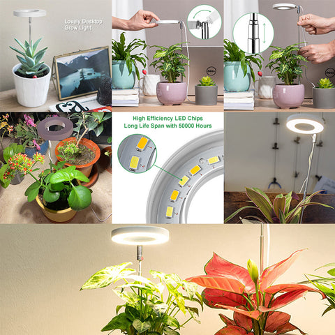 White Full Spectrum LED Grow Light with Telescopic Stake for Indoor Plants