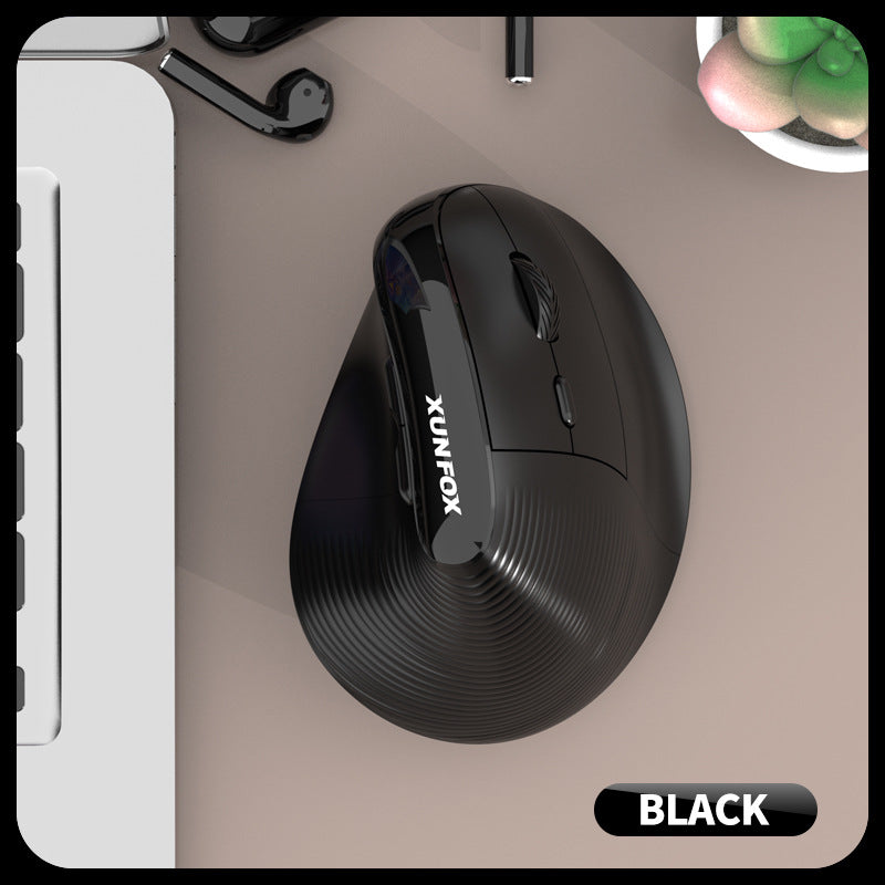 Two Ergonomic Vertical Wireless Mouse - Dual Mode (2.4G & Bluetooth ...