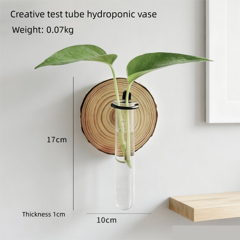 3-Pack Wall-Mounted Hydroponic Plant Test TubeFlower Pot for Indoor Plants & Cuttings