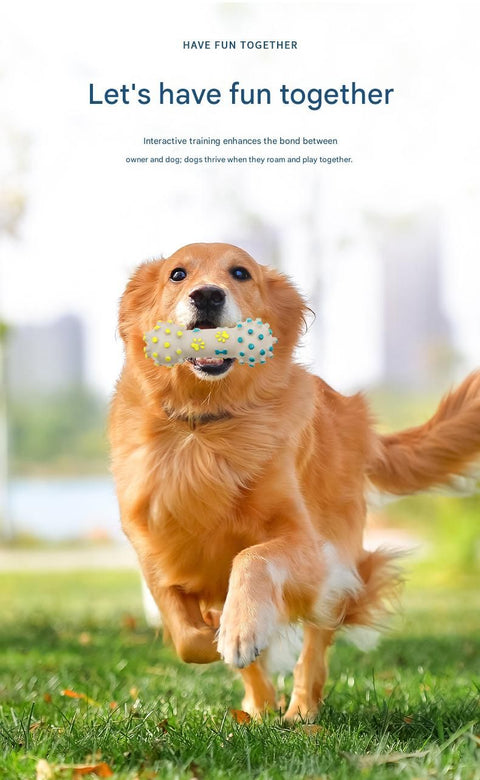 3-piece Yellow and Blue Squeaky Bone Spiked ring barbell White Rope Ball Durable TPR Dog Chew Toys Set -  for Teeth Cleaning - Non-Toxic, Bite-Resistant, Easy Clean - Interactive Play for Medium to Large Dogs
