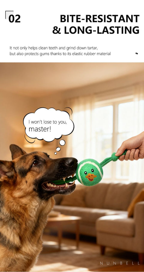 3-Piece Set High Elastic Pet Tennis Toy - Chew-Resistant Dog Ball with Plush Animal Designs for Interactive Play, Teeth Grinding & Dental Cleaning, Synthetic Fiber & Rubber, 80g Lightweight, Ideal for Small to Large Dogs-Designs: Duck and  Owl and  Pengui