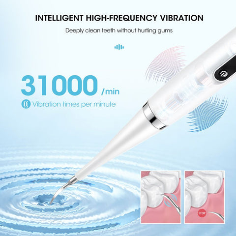 2-in-1 Black Rechargeable Electric Teeth Cleaner & Plaque Remover - Home Waterproof 5-Mode Adjustable 31000 VPM Dental Scaler Kit for Tartar and Calculus Removal