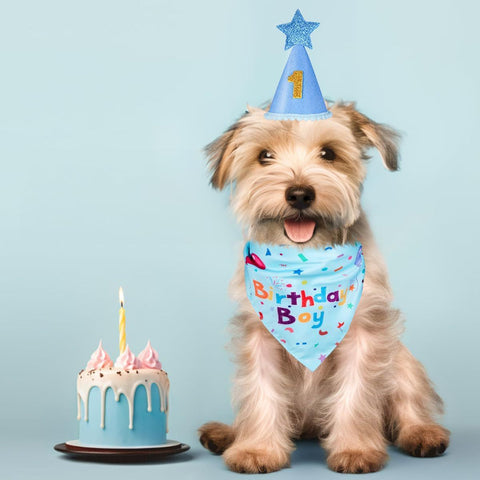 Blue Pet Birthday Bandana and Hat Set - Soft Cotton, Double-Sided Print, Adjustable Party Hat with Number - Cute Dog Birthday Accessories for Photo Props and Celebration
