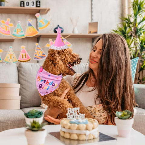 Blue Pet Birthday Bandana and Hat Set - Soft Cotton, Double-Sided Print, Adjustable Party Hat with Number - Cute Dog Birthday Accessories for Photo Props and Celebration