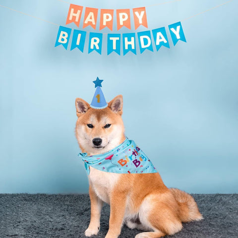 Pink Pet Birthday Bandana and Hat Set - Soft Cotton, Double-Sided Print, Adjustable Party Hat with Number - Cute Dog Birthday Accessories for Photo Props and Celebration