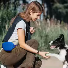 Black Silicone Dog Training Treat Pouch with Adjustable Waist Belt Hands-Free Pet Reward Bag for Outdoor Walks