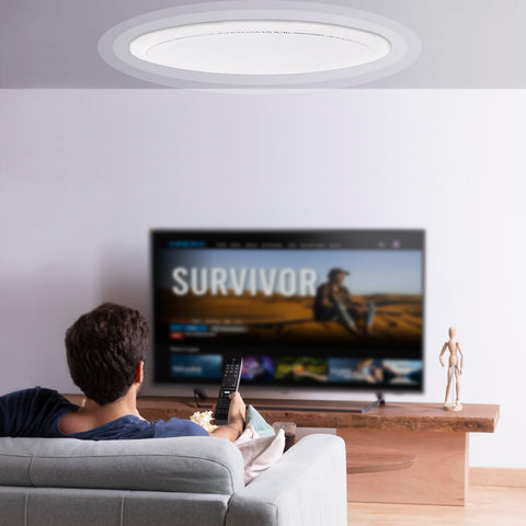 165.1 mm in Ceiling Speakers, 150-Watts, Flush Mount Ceiling & in-Wall Speakers System with 8ΩImpedance 89dB Sensitivity, for Home Kitchen Living Room Bedroom or Covered Outdoor Porches, Single