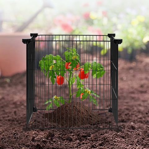 5 Pack Plant Protector from Animals, 390 mm x 390 mm Chicken Wire Plant Protector, Plant Cages for Outdoor Plants, Flowers & Vegetables, Keeps Bunny Chicken Squirrels Out, 20pcs Metal Mesh