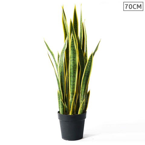70cm Artificial Yellow Edge Tiger Piran Plant