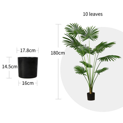 180cm Fan Palm Artificial Plant