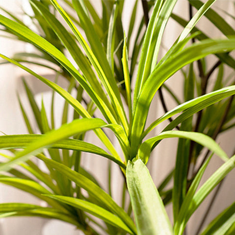 90cm Dracaena Dragon Artificial Plant