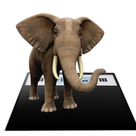 180kg Electronic Talking Scale Stainless