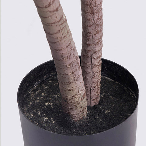 150cm Artificial Indoor Dragon Blood Tree